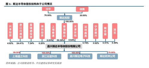 斯達半導(dǎo) IGBT模塊國內(nèi)領(lǐng)先廠商，有望受益于國產(chǎn)替代與行業(yè)增長